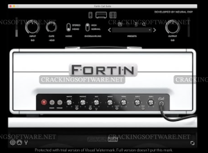 DSP Fortin Torrent